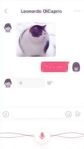 DDOS攻击测试软件程序维护界面